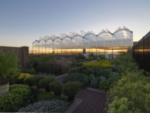 JJC greenhouse (photo: Steinkamp Photography /  Legat Architects)