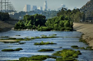 The LA River in 2010 (photo by Mark Boster of the LA Times)