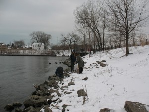 Picking up trash from the shoreline of the Chicago River's South Turning Basin, at the mouth of Bubbly Creek