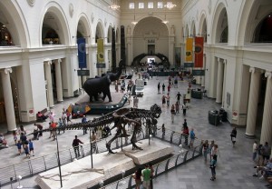 Field Museum of Natural History, Chicago IL