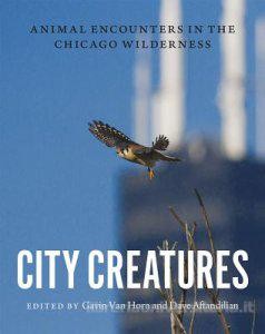 City Creatures book cover