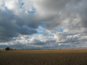 The central IL landscape: Daniel farm, Woodford County, fall 2013 (L. Bryson)