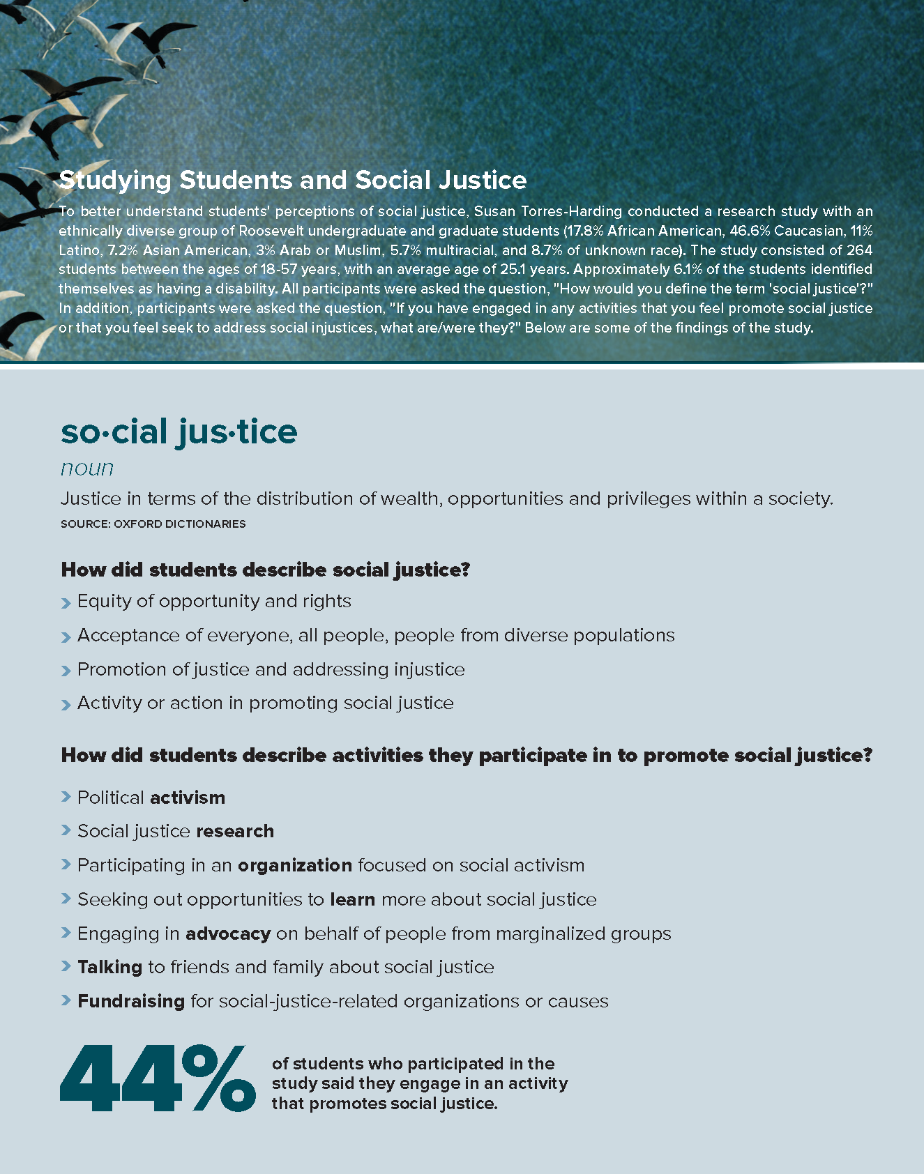 Social justice essay