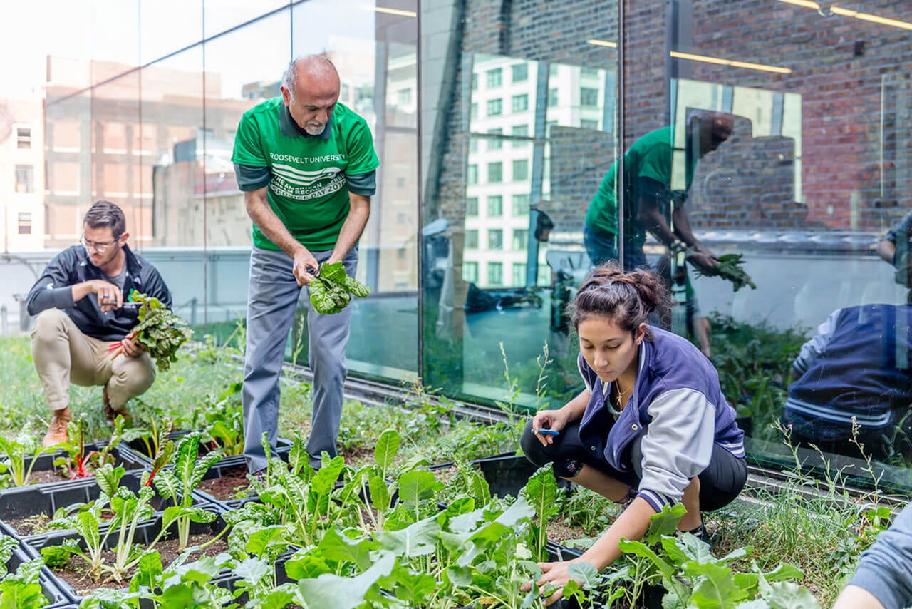 The building’s green roof gives students a chance to get their hands dirty in the soil, nurturing pollinator plants or tending to its food garden. 