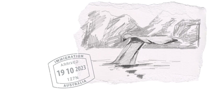 Whale sketch with mountains in the background with a passport stamp